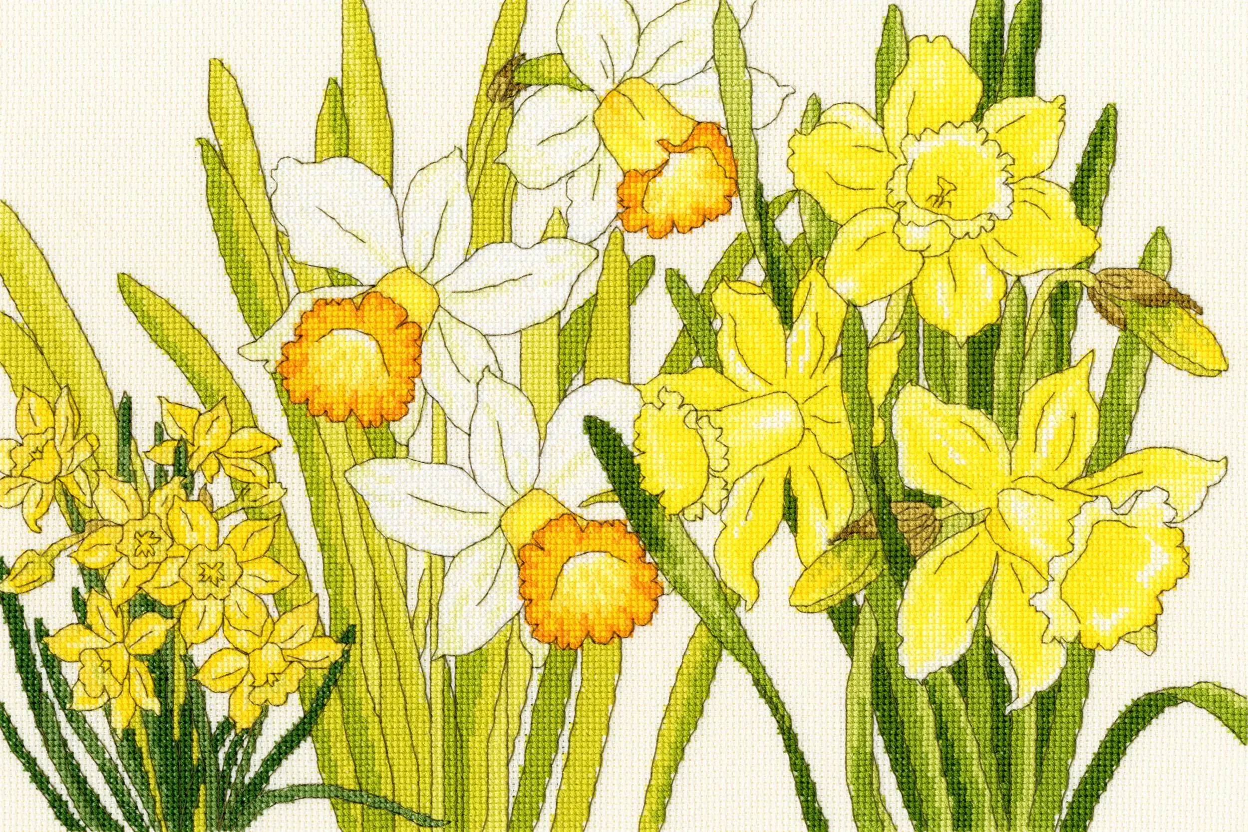 XBD10 Набір для вишивання хрестом Daffodil Blooms Цвіте нарцис