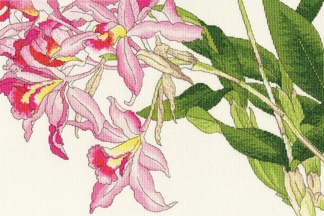 XBD16 Набір для вишивання хрестом Orchid blooms Цвіте орхідея Bothy Threads