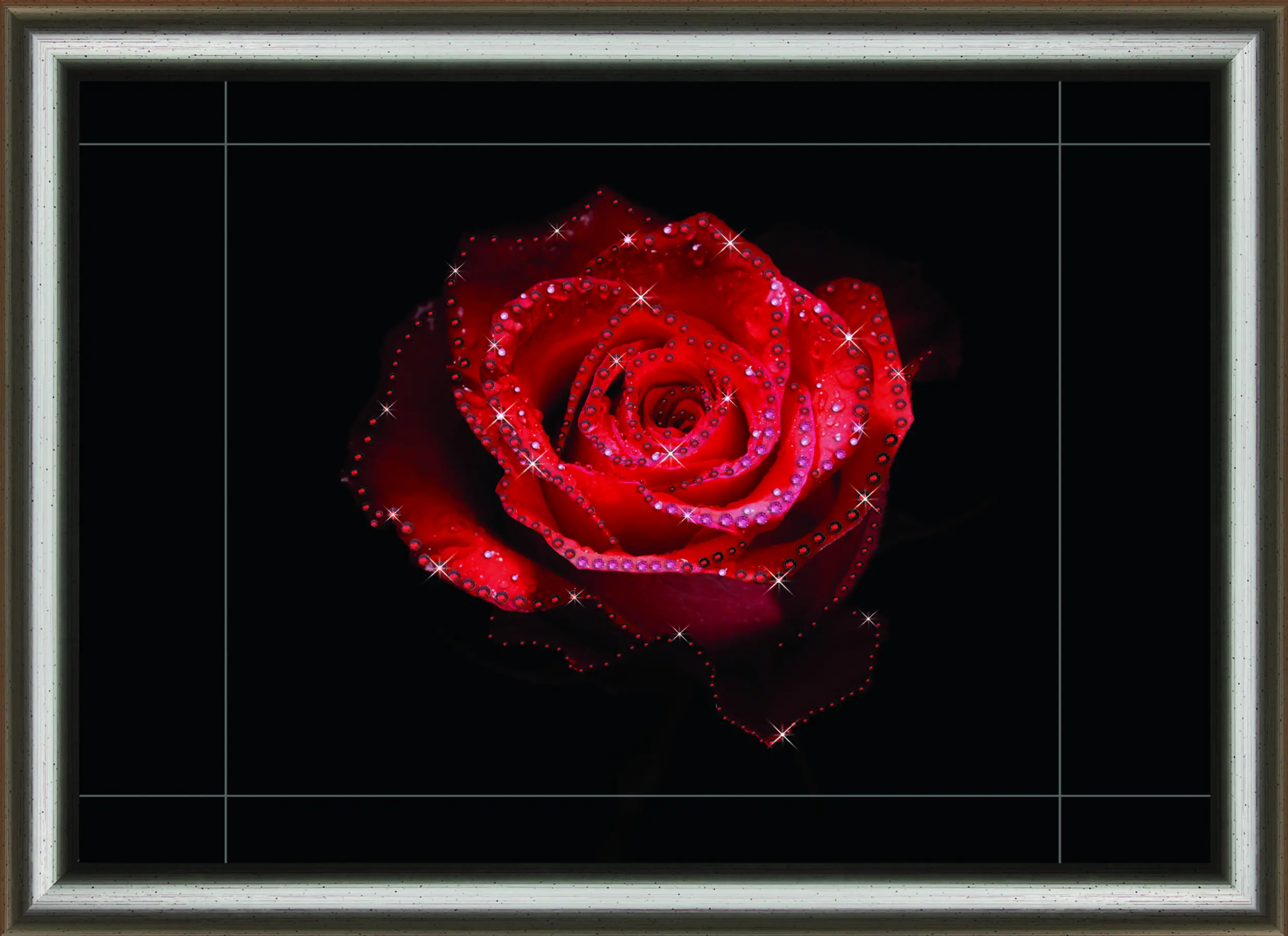 Набір картина стразами Crystal Art КС-1030 Квіткова пристрасть