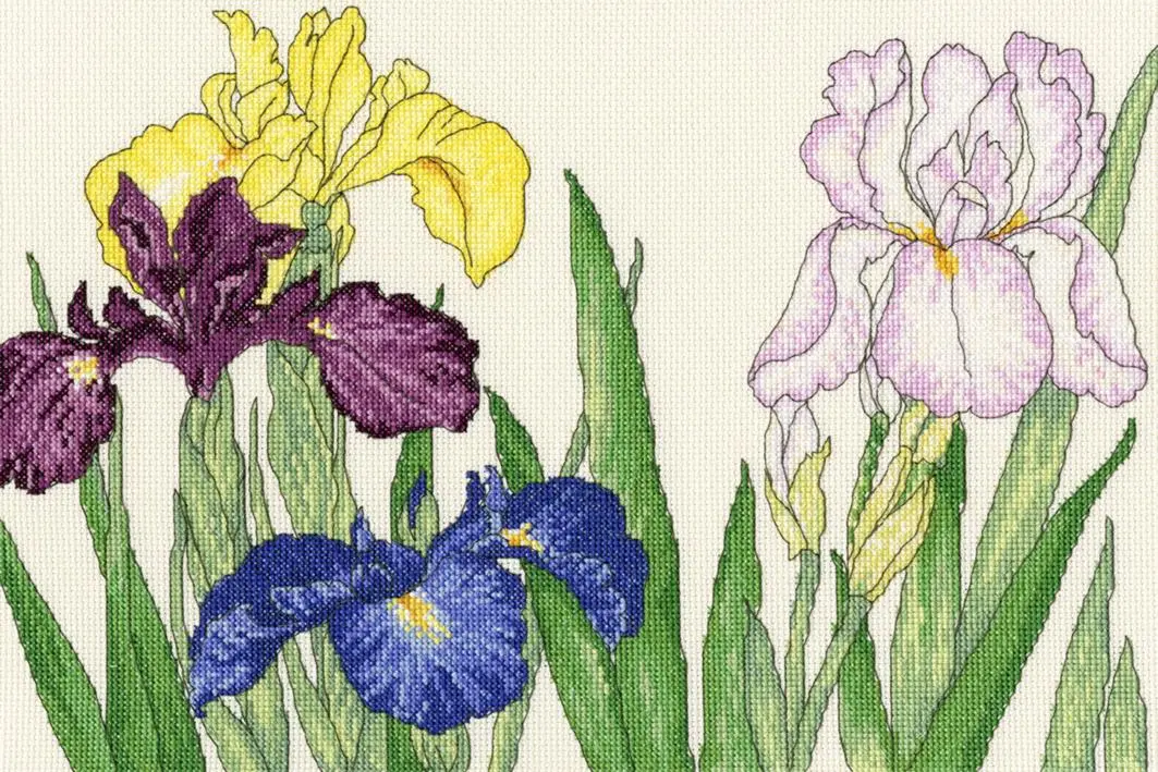 XBD14  Набір для вишивання хрестом Iris Blooms Ірис цвіте
