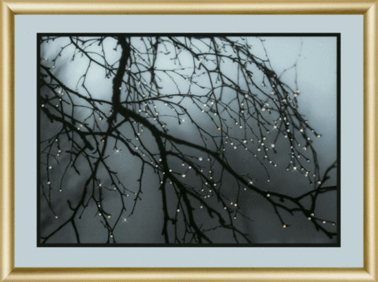 Набір картина стразами Чарівна Мить КС-172 Після дощу