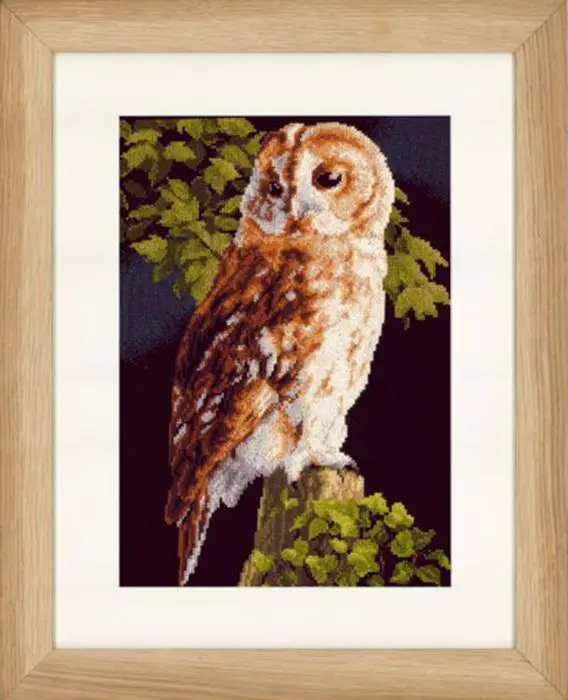 PN-0146814 Набір для вишивки хрестом LanArte Owl Сова