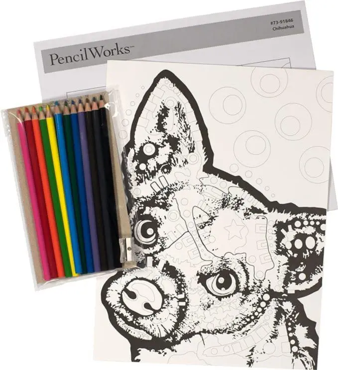 73-91846 Набір для малювання олівцями за номерами Dimensions DogЦуценя